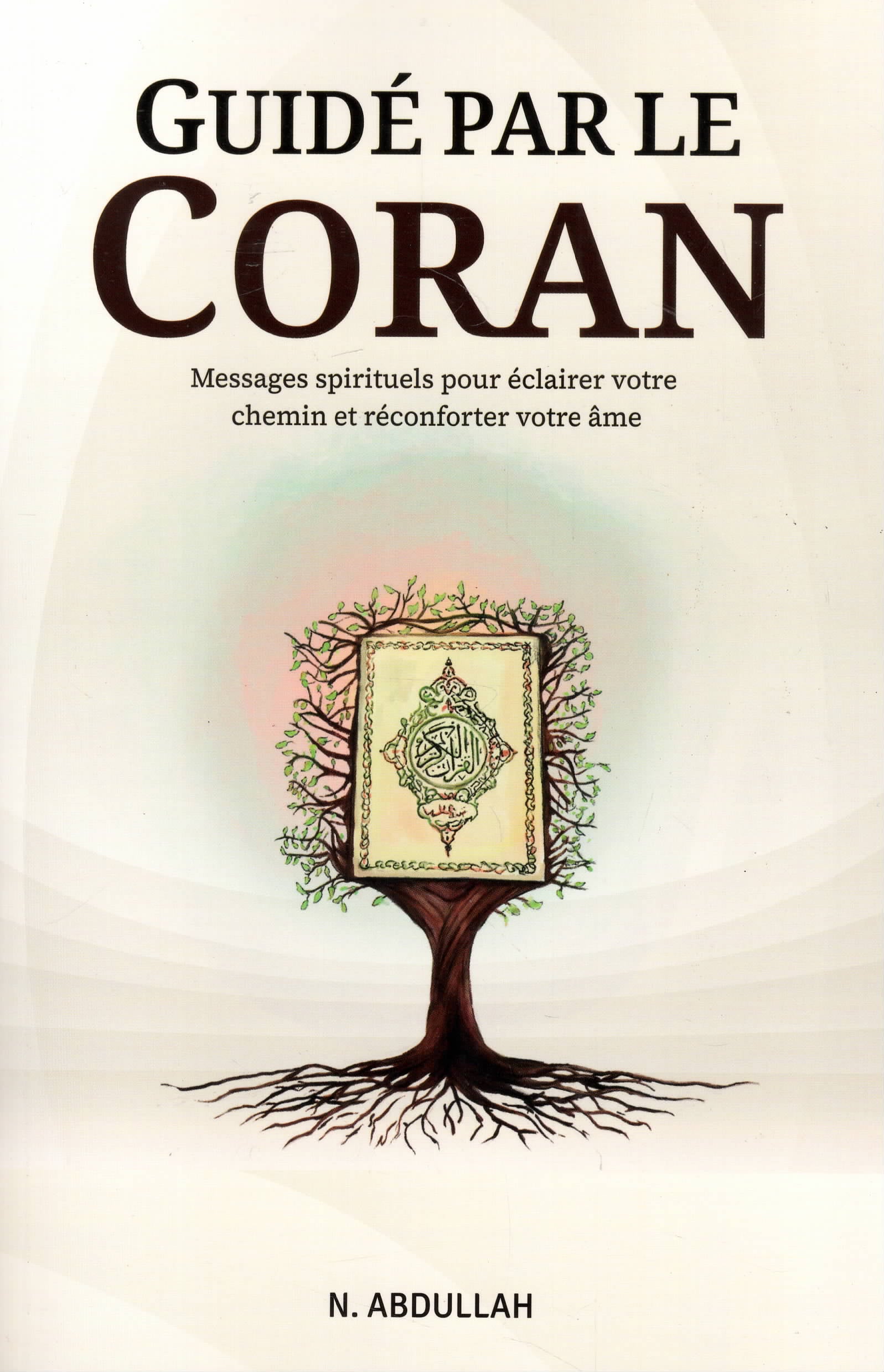 Guidé par le Coran | N. Abdullah