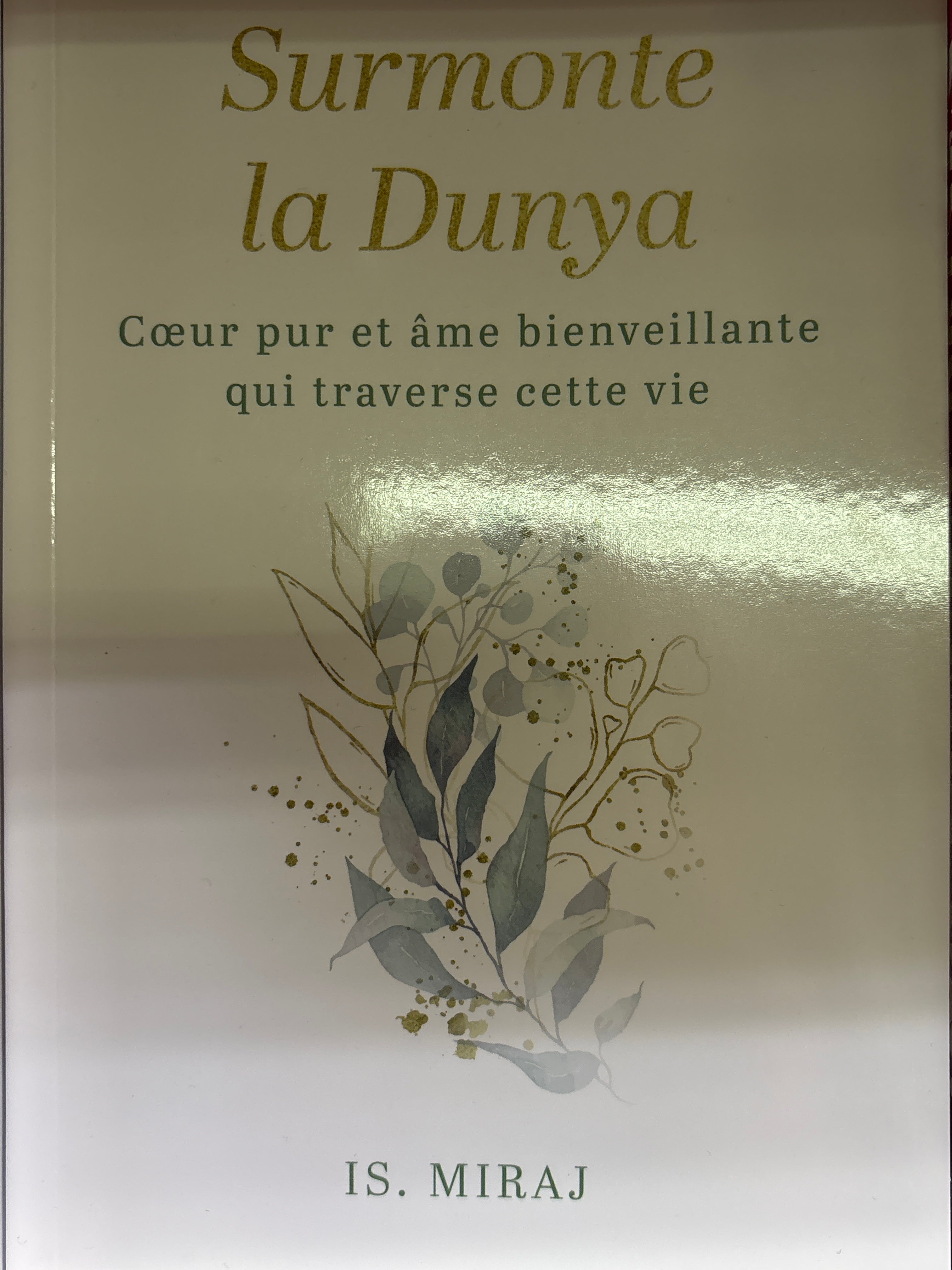 Surmonte la dunya